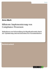 Effiziente Implementierung von Compliance Prozessen - Anna Murk