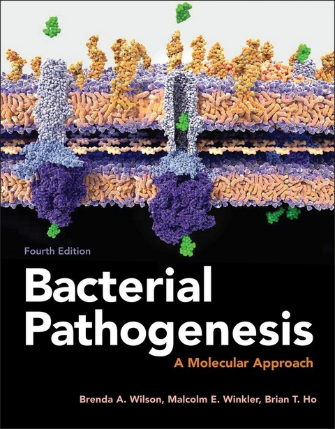 Bacterial Pathogenesis - Brenda A. Wilson, Malcolm Winkler, Brian T. Ho
