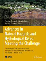 Advances in Natural Hazards and Hydrological Risks: Meeting the Challenge - 