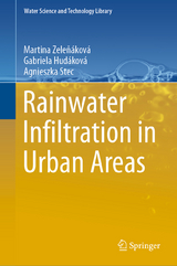 Rainwater Infiltration in Urban Areas - Martina Zeleň&aacute;kov&aacute;, Gabriela Hud&aacute;kov&aacute;, Agnieszka Stec