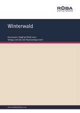 Winterwald - Siegfried Bethmann, Axel Salin