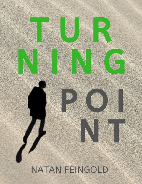 Turning Point -  Natan Feingold