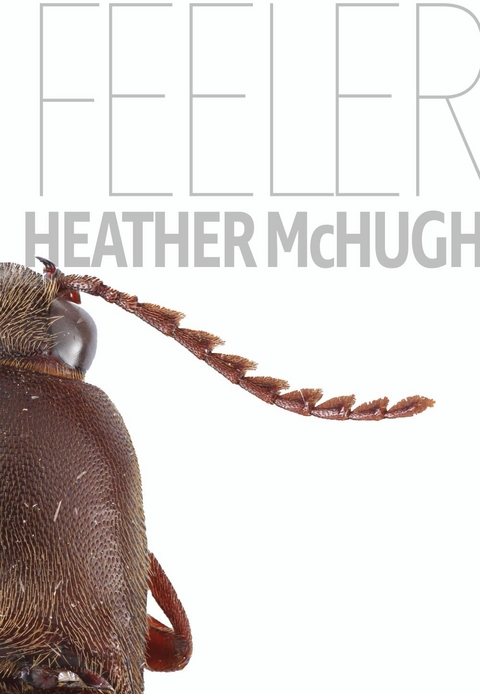 Feeler - Heather McHugh