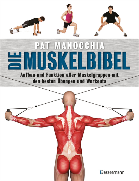 Die Muskelbibel. Aufw&auml;rmtraining, Muskelaufbautraining, Kraftausdauertraining, Maximalkrafttraining. Mit und ohne Ger&auml;te. F&uuml;r Anf&auml;nger und Fortgeschrittene - Pat Manocchia