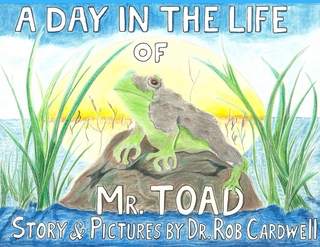 Day in the Life of Mr. Toad