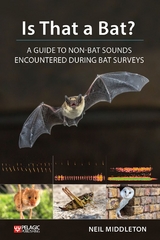 Is That a Bat? - Neil Middleton