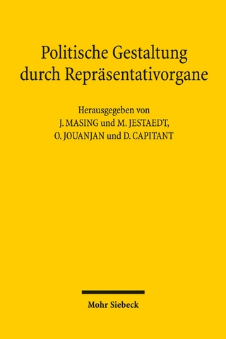 Politische Gestaltung durch Repräsentativorgane