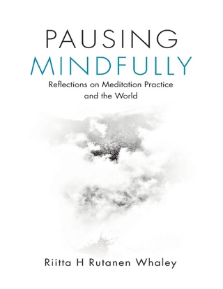 Pausing Mindfully: Reflections On Meditation Practice and the World