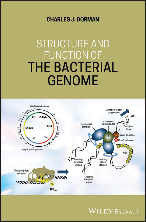 Structure and Function of the Bacterial Genome - Charles J. Dorman