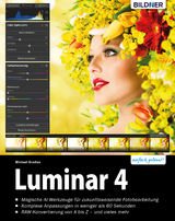 Luminar 4 - Michael Gradias
