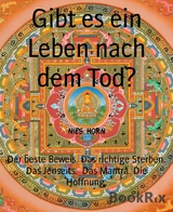 Gibt es ein Leben nach dem Tod? - Nils Horn