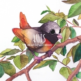 Luis und sein erstes gro&szlig;es Abenteuer - Claudia Sachse, Willi Hartmann