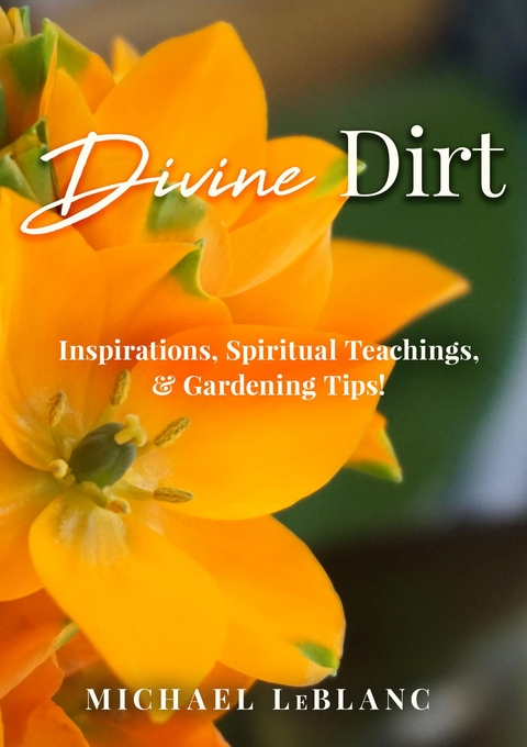 Divine Dirt - Michael LeBlanc