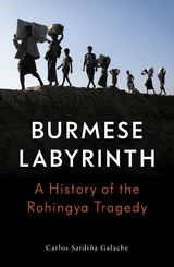 The Burmese Labyrinth - Carlos Sardi&ntilde;a Galache