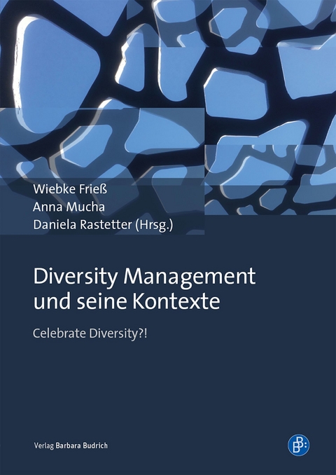 Diversity Management und seine Kontexte - 
