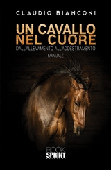 Un cavallo nel cuore - Claudio Bianconi