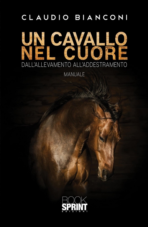 Un cavallo nel cuore - Claudio Bianconi