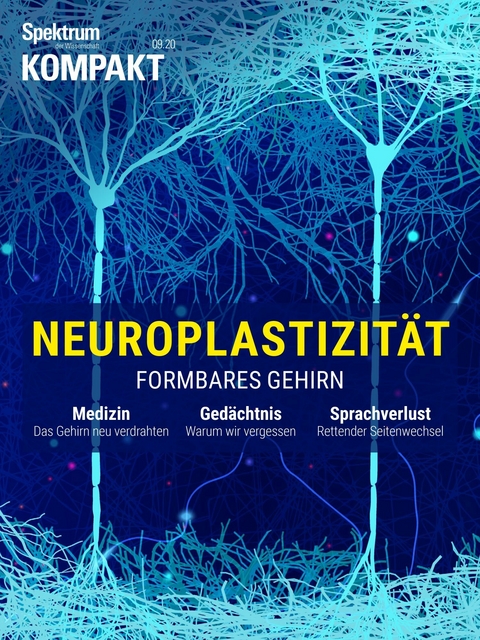 Spektrum Kompakt - Neuroplastizit&auml;t -  Spektrum der Wissenschaft Verlagsgesellschaft