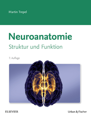 Neuroanatomie