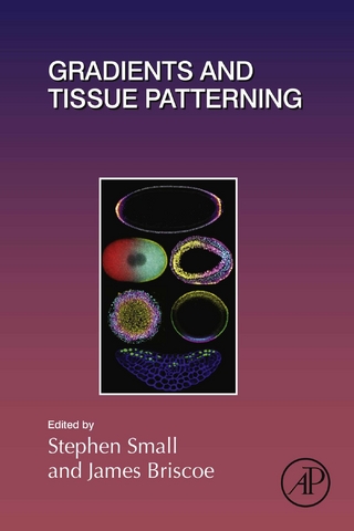 Gradients and Tissue Patterning