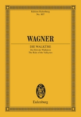 The Ride of the Valkyries - Richard Wagner