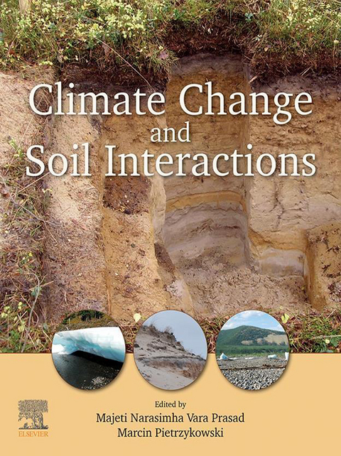 Climate Change and Soil Interactions - 