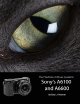 Friedman Archives Guide to Sony's Alpha 6100 and 6600 -  Gary L. Friedman
