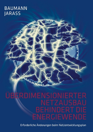 Überdimensionierter Netzausbau behindert die Energiewende