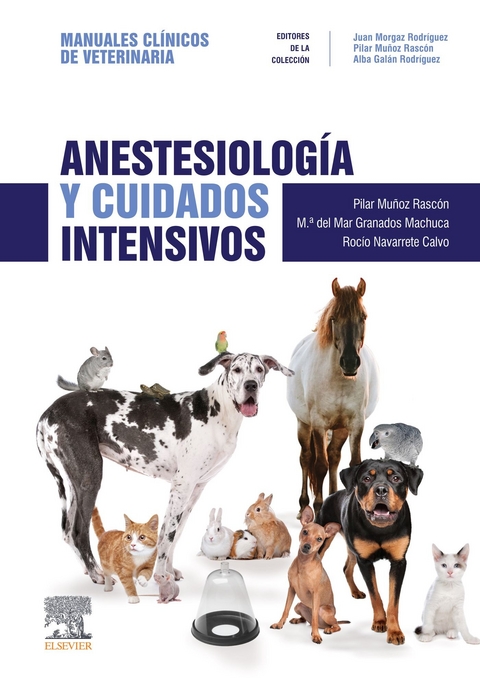 Anestesiolog&iacute;a y cuidados intensivos - 