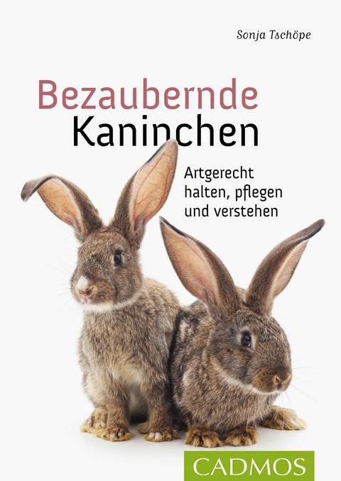 Bezaubernde Kaninchen -  Sonja Tsch&ouml;pe