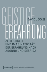 Geistige Erfahrung -  David J&ouml;ckel