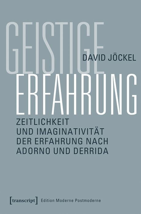 Geistige Erfahrung -  David J&ouml;ckel