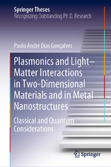 Plasmonics and Light&ndash;Matter Interactions in Two-Dimensional Materials and in Metal Nanostructures - Paulo Andr&eacute; Dias Gon&ccedil;alves