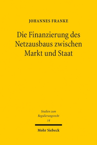 Die Finanzierung des Netzausbaus zwischen Markt und Staat