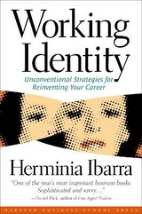 Working Identity - Ibarra, Herminia