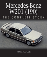 Mercedes-Benz W201 (190) -  James Taylor