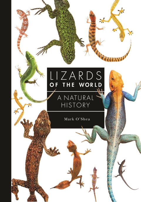 Lizards of the World - Mark O'Shea