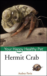 Hermit Crab - Audrey Pavia