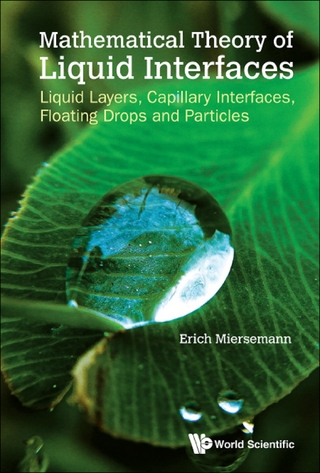 MATHEMATICAL THEORY OF LIQUID INTERFACES