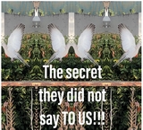 The secret they did not say TO US!!! - A.N. KARAMBAKHSH