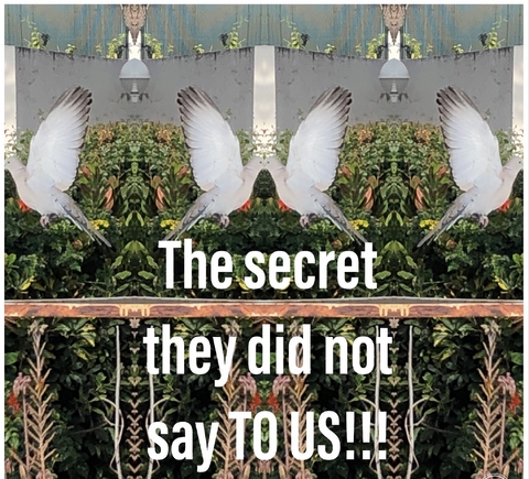 The secret they did not say TO US!!! - A.N. KARAMBAKHSH