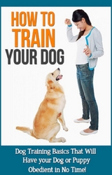 How to Train Your Dog - Mason Rampey