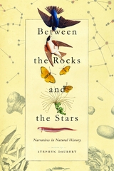 Between the Rocks and the Stars - Stephen Daubert