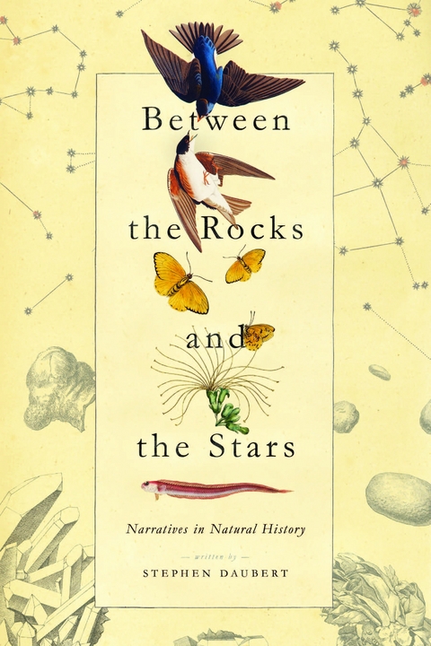 Between the Rocks and the Stars - Stephen Daubert