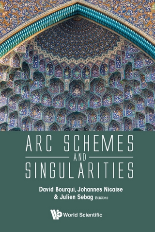 ARC SCHEMES AND SINGULARITIES