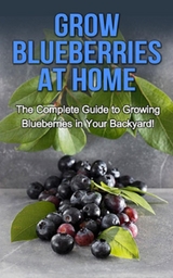 Grow Blueberries at Home - Steve Ryan