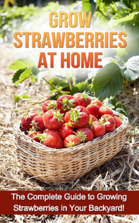 Grow Strawberries at Home - Steve Ryan