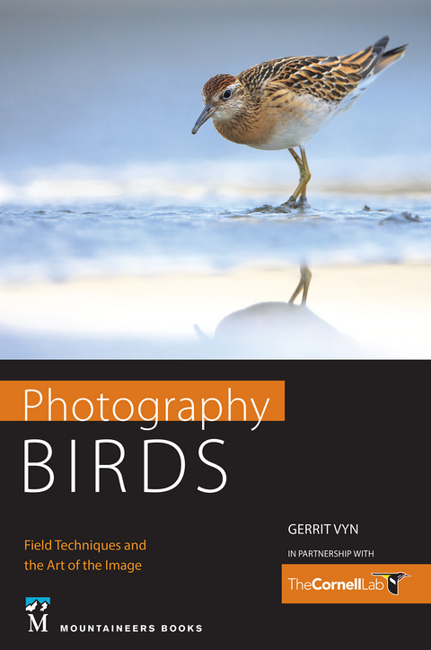 Photography Birds - 
