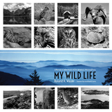 My Wild Life - Roland H. Wauer