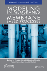 Modeling in Membranes and Membrane-Based Processes - 